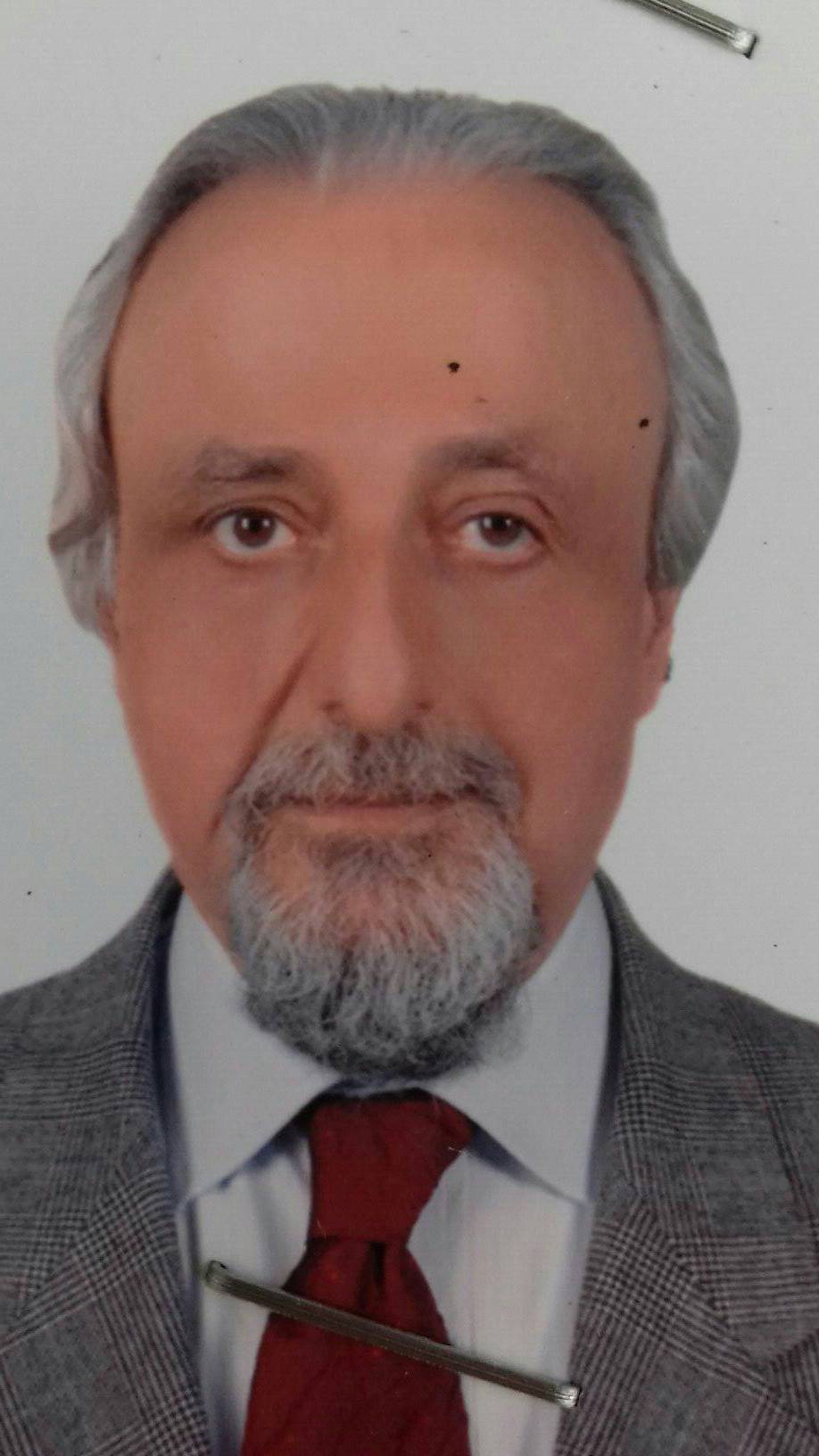 الأستاذ الدكتور أحمد حسن يوسف