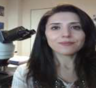 Dr. Rana Eissa