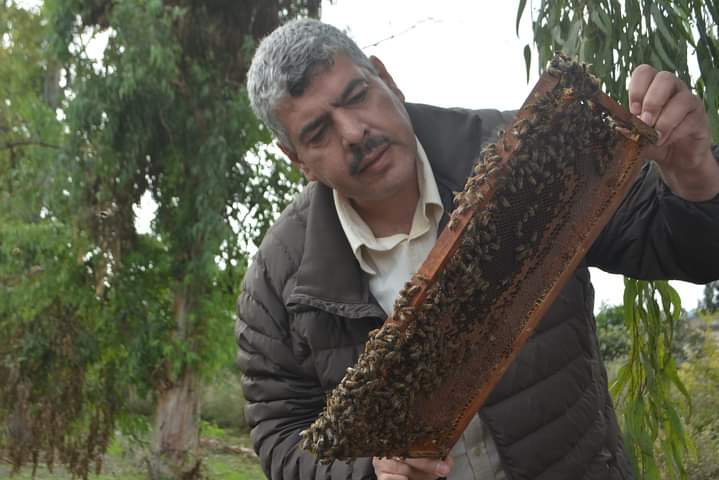 من فعاليات اليوم الثالث لدورة أمراض نحل العسل المقامة في كلية الهندسة الزراعية في جامعة تشرين