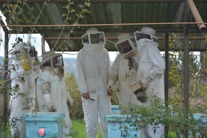 من فعاليات اليوم الثالث لدورة أمراض نحل العسل المقامة في كلية الهندسة الزراعية في جامعة تشرين